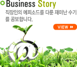 business story